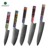 Professional Kitchen Knife with Damascus Steel Blades