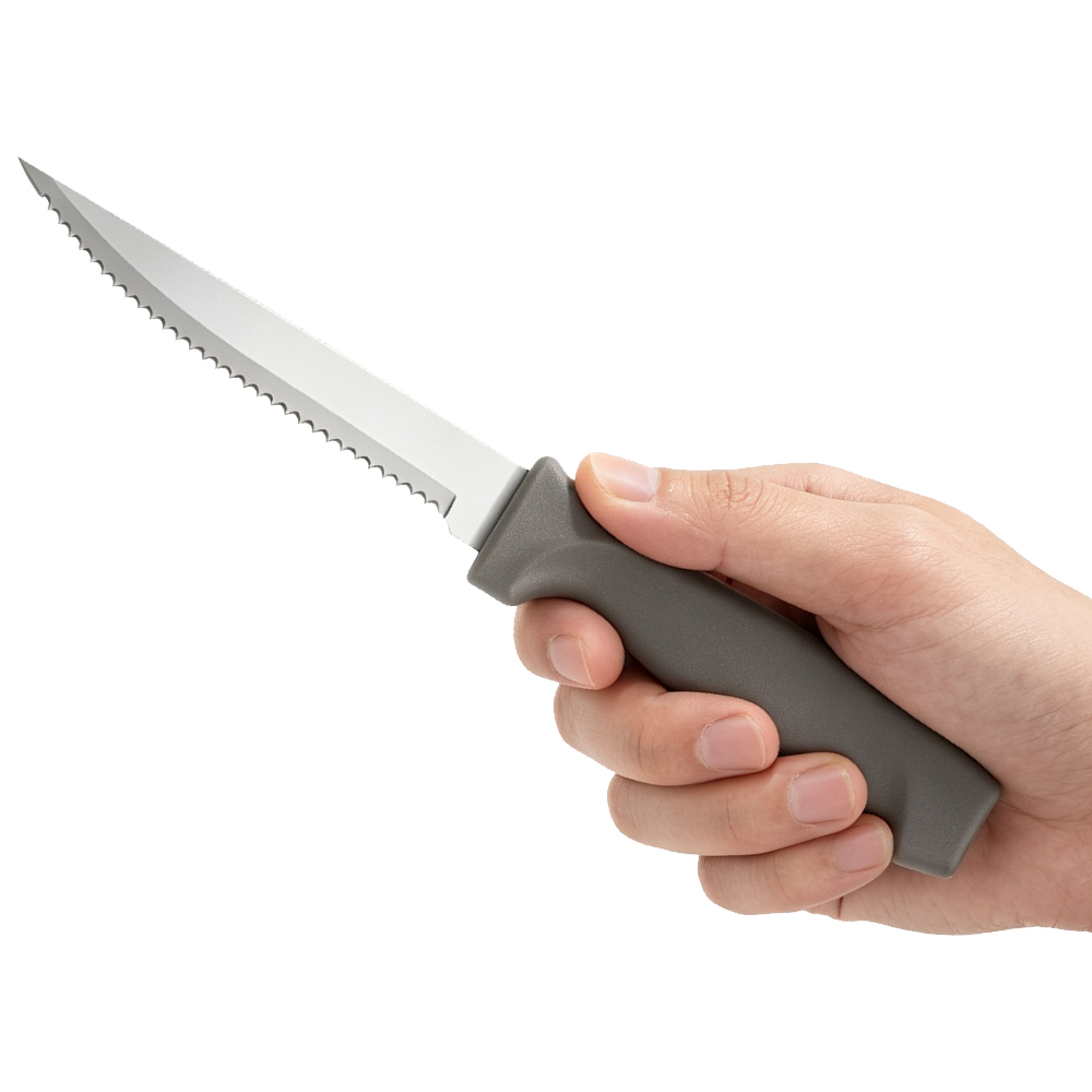 Steak Knife with Plastic Handle