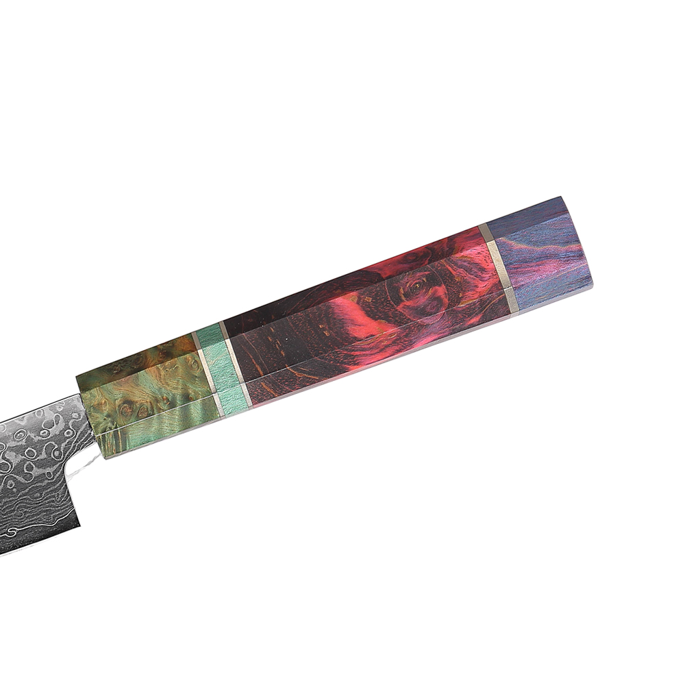 Professional Kitchen Knife with Damascus Steel Blades